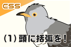 【CSS】文章の頭に括弧付きの連番を付ける方法